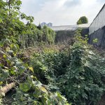 IMG_0202.jpeg