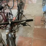 IMG_0262.jpeg