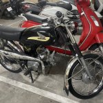 IMG_2573.jpeg