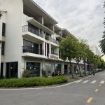 IMG_2986.jpeg