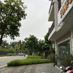 IMG_2992.jpeg