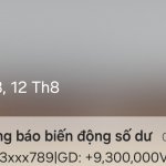 22358.jpg