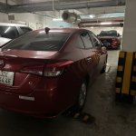 IMG_8811.jpeg