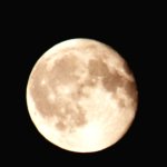 20250813_003022.jpg