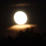 20250813_003651.jpg