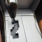 IMG_8554.jpeg