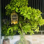 IMG_4420.jpeg