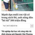 1755053352338.png