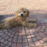 IMG_3825.jpeg
