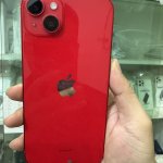 IMG_2782.jpeg
