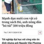 nuoi chim 2.png