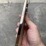 IMG_0284.jpeg
