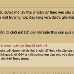 Ảnh màn hình 2025-08-13 lúc 15.45.05.png