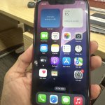 IMG_2707.jpeg