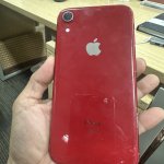 IMG_2709.jpeg