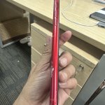 IMG_2710.jpeg