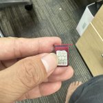 IMG_2712.jpeg