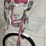 IMG_1572.jpeg