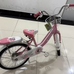 IMG_1574.jpeg