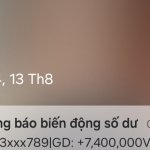 22401.jpg