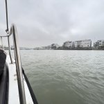 IMG_3677.jpeg