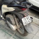 IMG_8465.jpeg