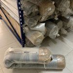 IMG_7543.jpeg