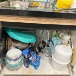 IMG_5026.jpeg