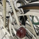 IMG_1913.jpeg