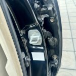 IMG_6403.jpeg