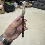 IMG_2940.jpeg