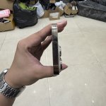 IMG_2941.jpeg