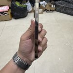 IMG_2942.jpeg