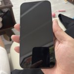 IMG_6856.jpeg