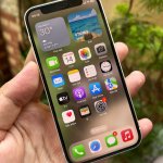 IMG_1944.jpeg
