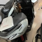 IMG_8117.jpeg