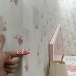 2008BD6F-34DC-4570-9AAA-2D1BD2255EE1.jpeg