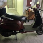 IMG_7017.jpeg