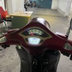 IMG_7016.jpeg