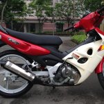IMG_0524.jpeg