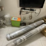 IMG_8234.jpeg