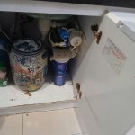 IMG_5029.jpeg