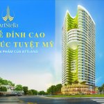 top-banner-1-1536x871.jpg