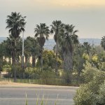 IMG_4385.jpeg