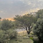 IMG_4380.jpeg