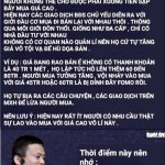 IMG_8811.jpeg