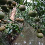 IMG_1372.jpeg