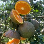 IMG_1380.jpeg