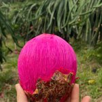 IMG_1377.jpeg