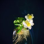 F83C5537-31BD-4636-B6AF-5A00BECF440C.jpeg